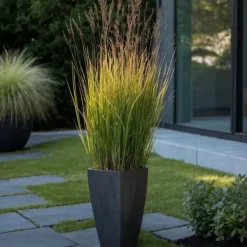 Krukkeplanter Indendørs^Staudehirse - Panicum virgatum 'Heavy Metal' - Højde 40-60cm - ⌀23cm