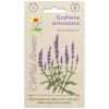 Steppesalviefrø - Lang blomstrende staude med lilla blomsteraks Frø