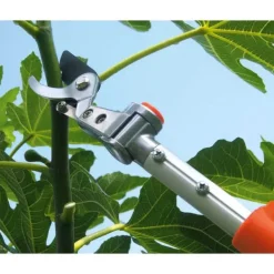 Sale Stocker Justerbar Teleskop Beskæringssaks 180-300 Cm Haveværktøj