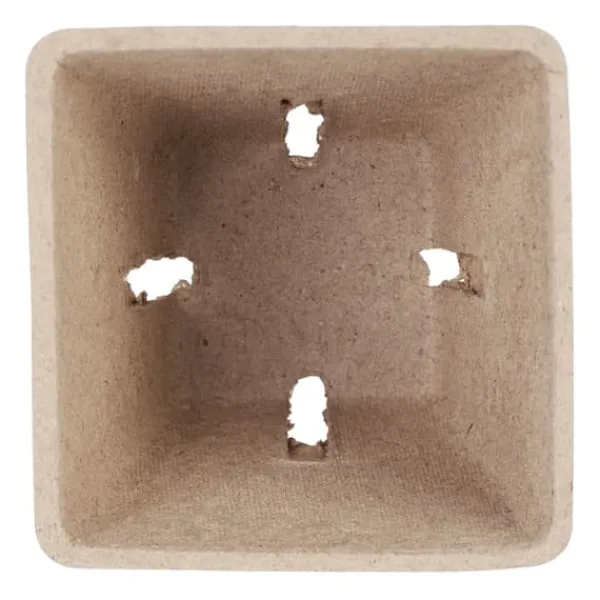 Kit Til Plante- & Urtedyrkning^Sætte med frøpotter, 5.5x6x6 cm, Brun