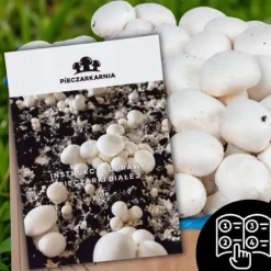 Kit Til Plante- & Urtedyrkning^Svampedyrkningssæt 5 kg mycelium Hjemmesvampedyrkning + Gratis
