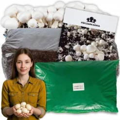 Outlet Svampemycelium 3-faset 20 kg dyrkningssæt ballesubstrat + tørv 9 kg Kit Til Plante- & Urtedyrkning