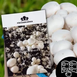 Outlet Svampemycelium 3-faset 20 kg dyrkningssæt ballesubstrat + tørv 9 kg Kit Til Plante- & Urtedyrkning