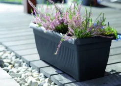 Krukker & Plantebeholdere^Terra DTT600 Balkonurtepotte | Terrakotta