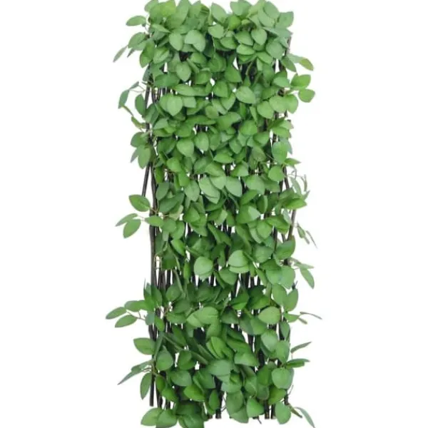 Buer, Spalier, Lysthuse Uden Tag^The Living Store espalier med kunstig vedbend 180x65 cm udvidelig grøn - Havehegn
