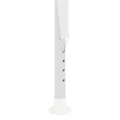 Telte & Lysthuse^The Living Store festtelt med sidevægge 4x9 m 90 g/m² hvid - Festtelte & havepavilloner