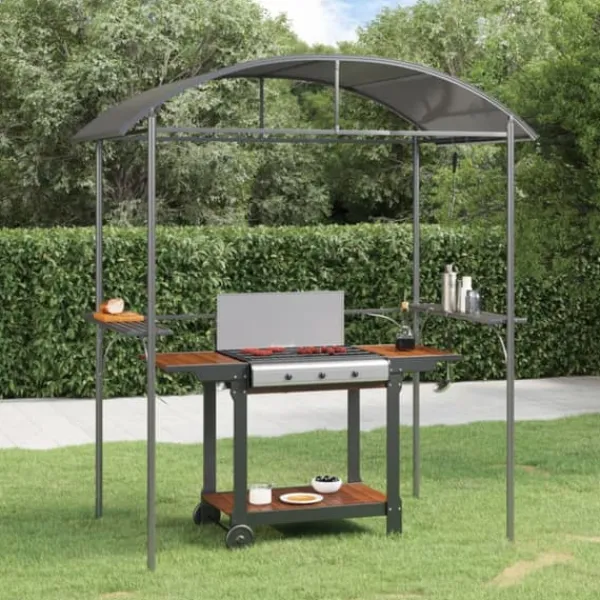 Telte & Lysthuse^The Living Store grillpavillon med sidehylder 220x115x230 cm stål antracitgrå - Festtelte & havepavilloner