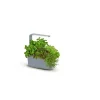 Kit Til Plante- & Urtedyrkning^TREGREN Kitchen Garden T6 Grå