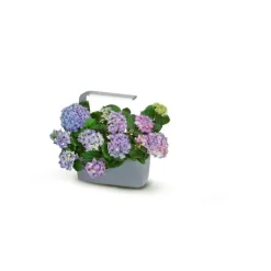 Kit Til Plante- & Urtedyrkning^TREGREN Kitchen Garden T6 Grå