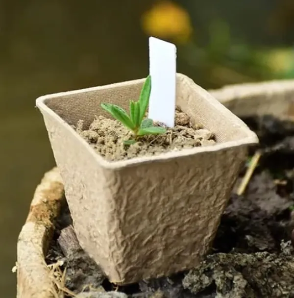 Krukker & Plantebeholdere^Tørvepotter til frøplanter 8 cm 20 stk.