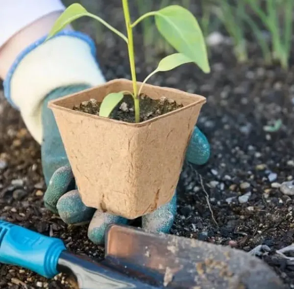 Krukker & Plantebeholdere^Tørvepotter til frøplanter 8 cm 20 stk.