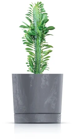 Sale Tubo P Beton Effect 240E rund urtepotte med underkop | Antracit Krukker & Plantebeholdere
