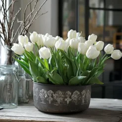 Best Tulipanløg - Sæt med 14 - Tulipa 'Northcap' - Blomsterløg - Gul Frø