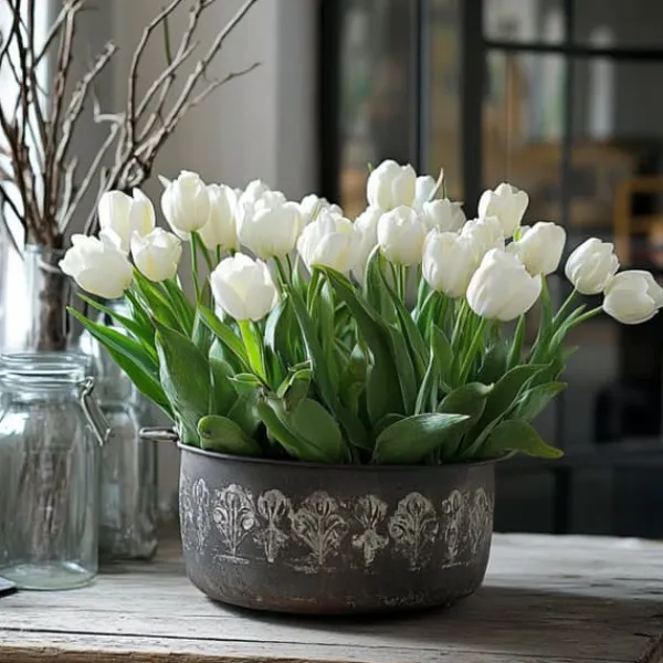 Best Tulipanløg - Sæt med 14 - Tulipa 'Northcap' - Blomsterløg - Gul Frø