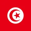 Outlet Tunesiens flag Flag & Vindposer