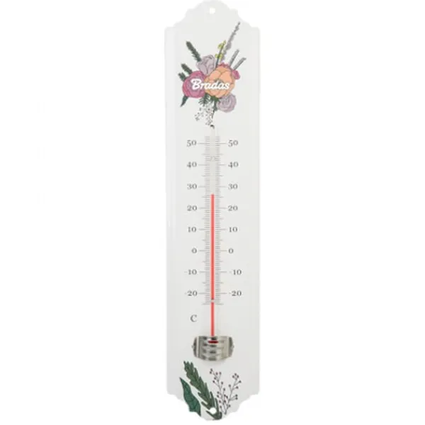 Regnmåler^Udendørs vinduestermometer, metal, område: -25/50 grader Celsius, længde 20 cm