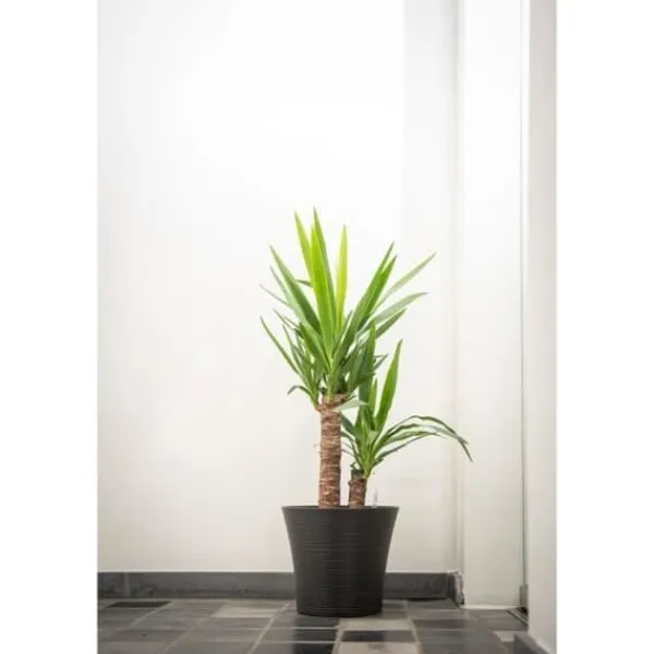 Krukker & Plantebeholdere^Urtepotte - GARDEN ID - Green Care Sense Sort-Antracit - 30 x 27 cm - 10 års garanti - 100% genanvendt - UV- og frostbestandig