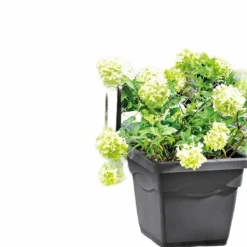 New Urtepotte Deroma Firkantet Antracit Injected Ø 38 cm Krukker & Plantebeholdere