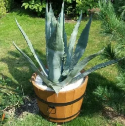 Hot Urtepotte i egetræ 50xH45 karat eg Krukker & Plantebeholdere