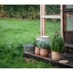Urtepotte med fad Alexandra House Living Terrakotta Keramik 18 x 18 x 18 cm Krukkeplanter Indendørs