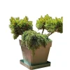 Hot Urtepotte Riviera Brun 50 x 50 cm Krukkeplanter Indendørs