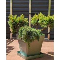 Hot Urtepotte Riviera Brun 50 x 50 cm Krukkeplanter Indendørs