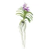 Outlet Vanda orkidé - Vanda 'Lila' - Højde 55-65cm Krukkeplanter Indendørs