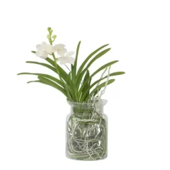 Krukkeplanter Indendørs^Vanda orkidé - Vanda 'White' - Højde 40-50cm - ⌀14cm