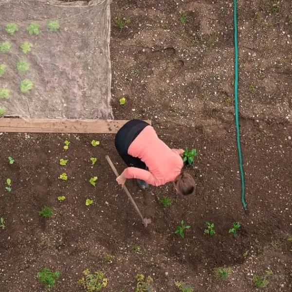 Clearance Vandingsslange, 300 cm, Grøn, Plast Vanding