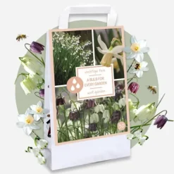 Frø^Våd Have Boks - 30 blomsterløg til fugtige og regnfulde steder