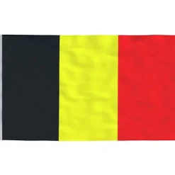 Clearance Belgien flag og flagstang 5,55 m aluminium - Flag & vimpler Flag & Vindposer
