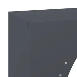 vidaXL Tilbehør Til Brændeovne & Pejse^brændestativ 50x23x100 cm koldvalset stål antracitgrå