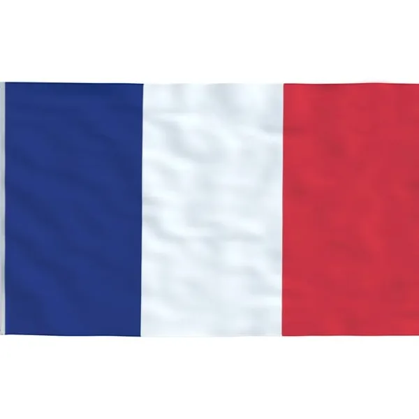 vidaXL Flag & Vindposer^det franske flag 90x150 cm