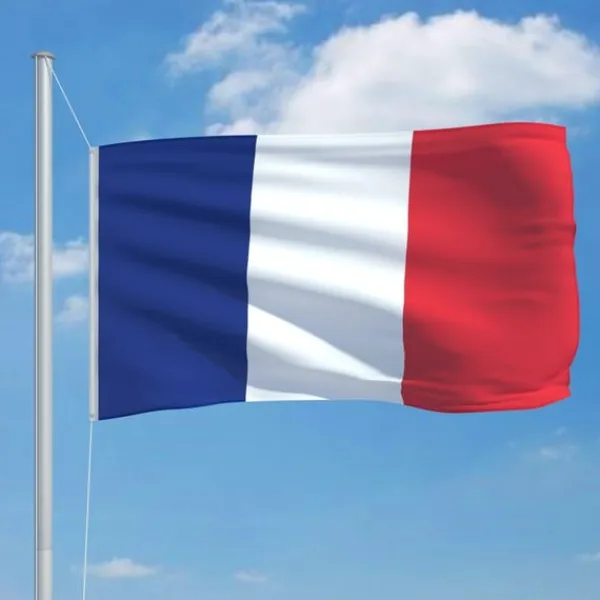 vidaXL Flag & Vindposer^det franske flag 90x150 cm