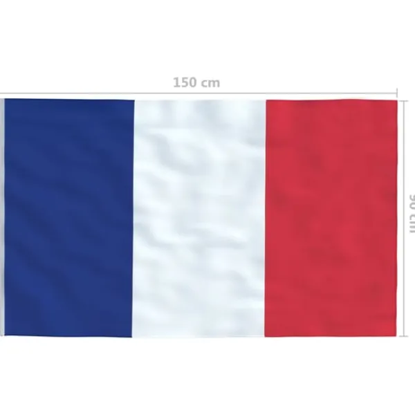 vidaXL Flag & Vindposer^det franske flag 90x150 cm