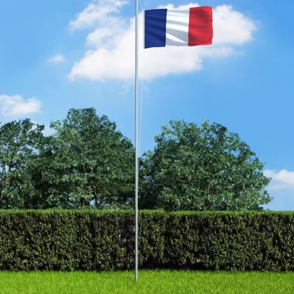 vidaXL Flag & Vindposer^det franske flag 90x150 cm