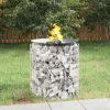 vidaXL Pejse^gabion-bålkurv Ø 50 cm galvaniseret jern - Ildsteder