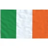 vidaXL Flag & Vindposer^Irlands flag 90x150 cm