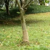 Discount juterulle 0,25x15 m 200 gsm 100 % jute - Indretning Haveduge