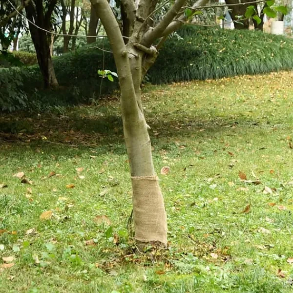 Discount juterulle 0,25x15 m 200 gsm 100 % jute - Indretning Haveduge