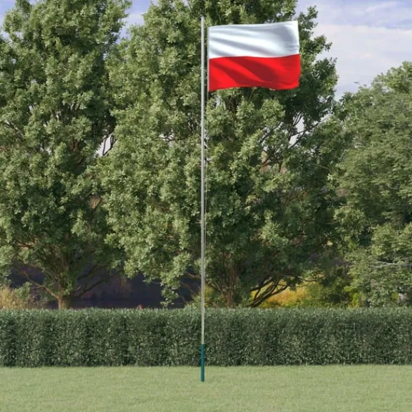 vidaXL Flag & Vindposer^Polen flag og flagstang 6,23 m aluminium