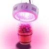 Krukkeplanter Indendørs^Växtlampa GROWFLOW, 50W LED med optimal våglängd, NASA Lila och Blå