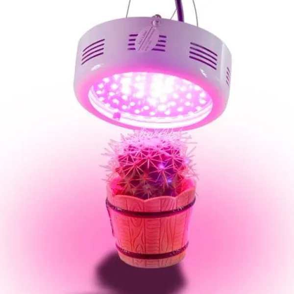 Krukkeplanter Indendørs^Växtlampa GROWFLOW, 50W LED med optimal våglängd, NASA Lila och Blå