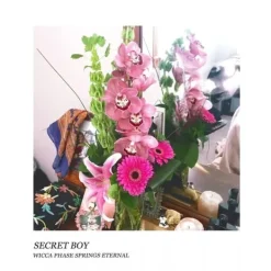 New Wicca Phase Springs Eternal Secret Boy (Doublemint (Vinyl) New Blomster