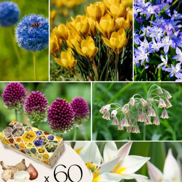 Online Wild Bee Hotel Box - 60 blomsterløg - Byg bihotel instruktion - Vinterhårdfør Frø