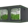 Best 10x10 hydroponisk voksetelt, 120'' x 120'' x 80'', højreflekterende 600D Mylar med vindue, værktøjstaske og gulvbakke til indendørs planter. Drivhus