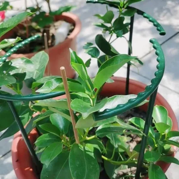 Krukker & Plantebeholdere^4x Plantestøtter til potteplanter