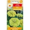 Hot Zinnia dahlia ENVY 1g Frø