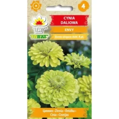 Hot Zinnia dahlia ENVY 1g Frø