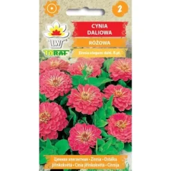 Online Zinnia dahlia lyserød 1g Frø